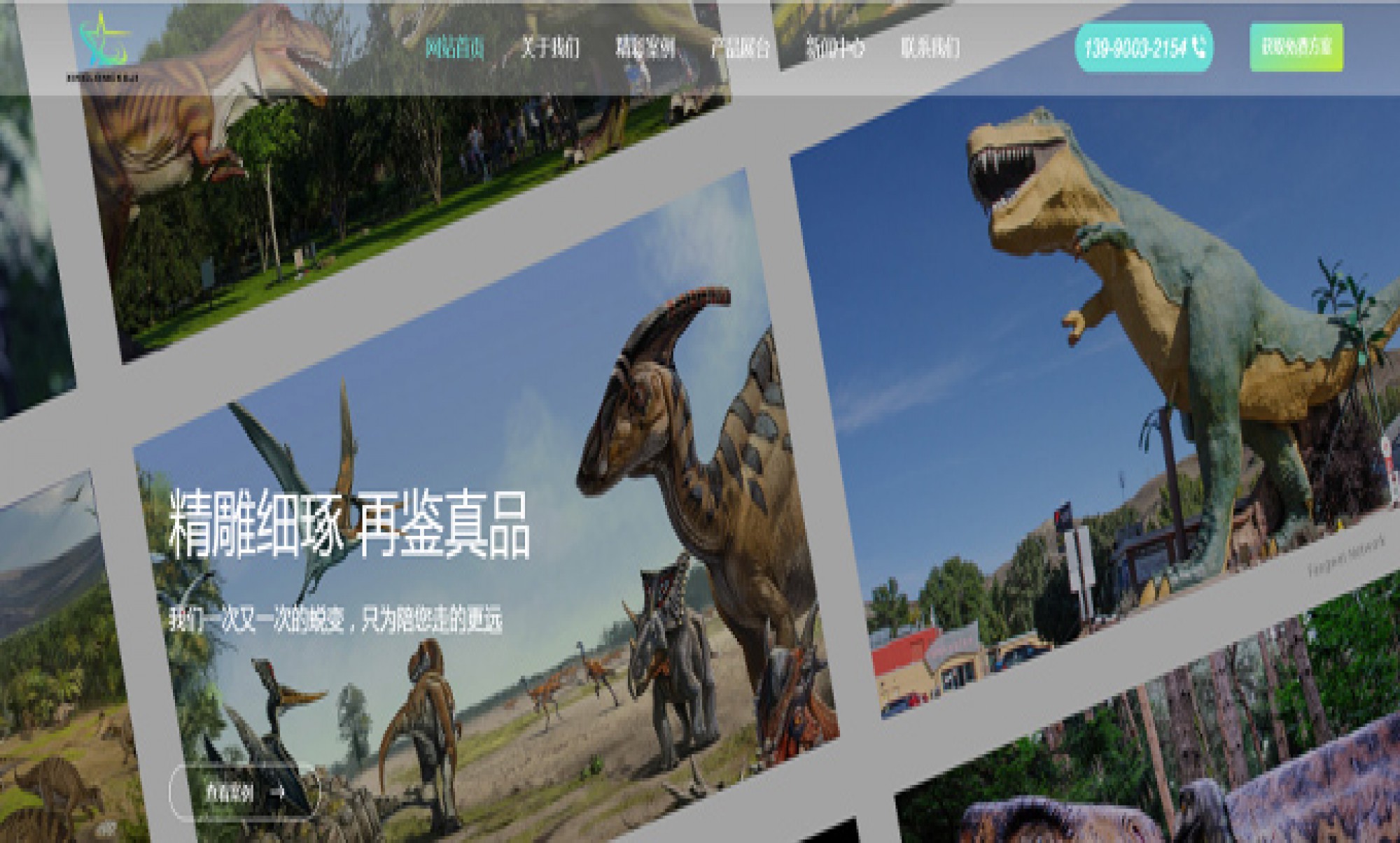 自贡星龙科技有限责任公司