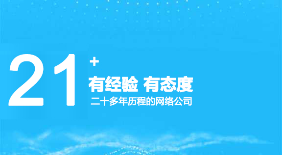 21年网站制作经验